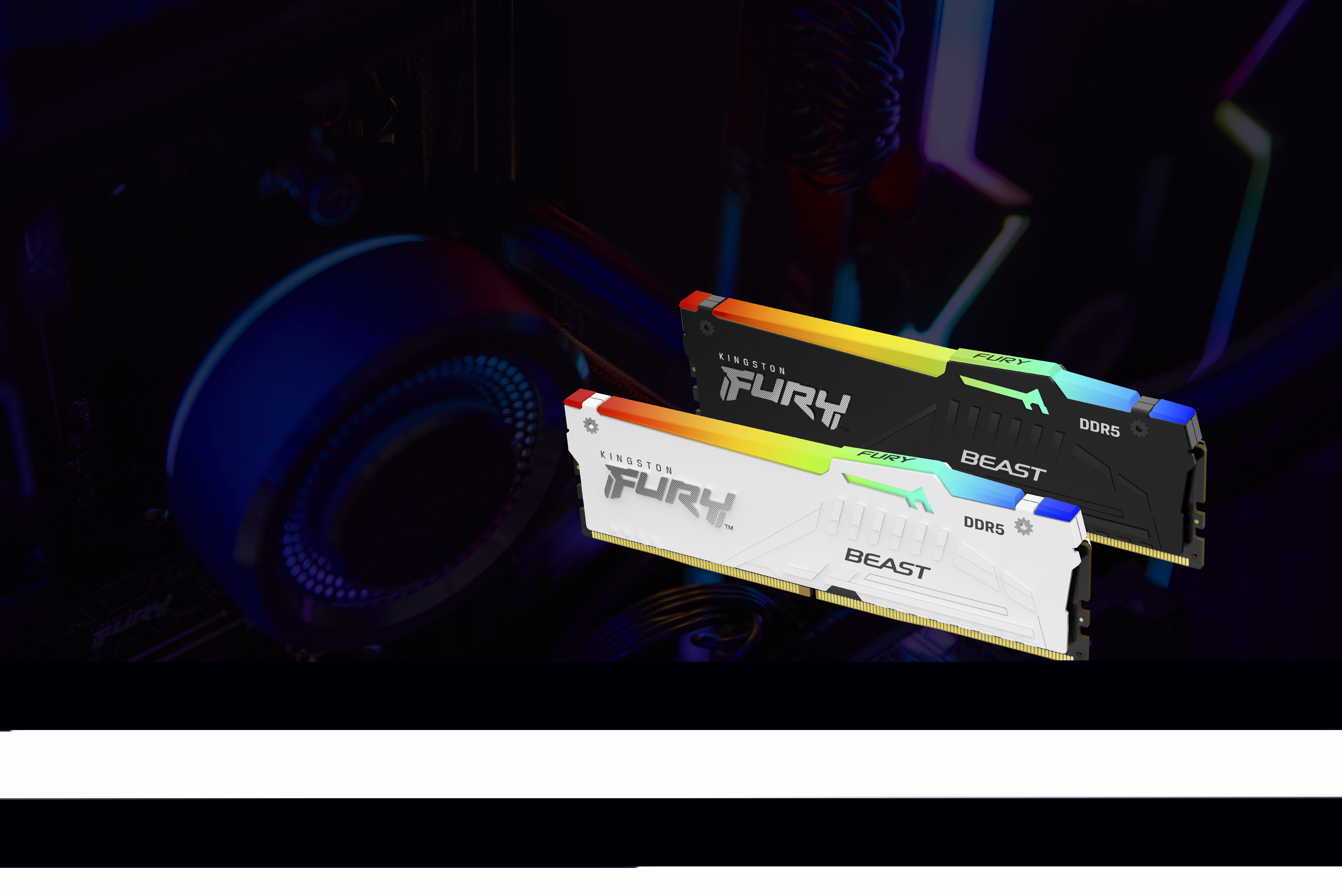 Kingston FURY Beast RGB - DDR5 - Kit - 64 GB: