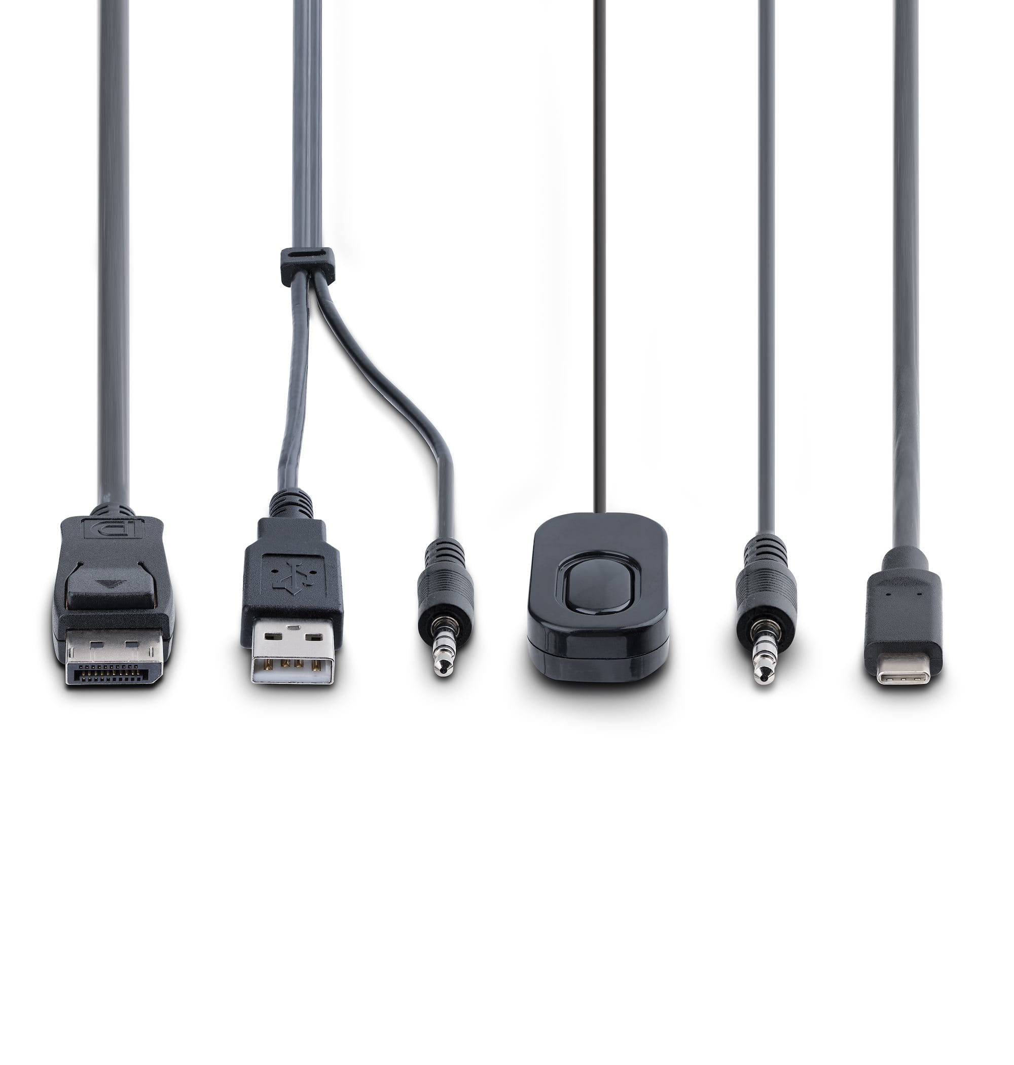StarTech.com 2-Port Hybrid USB-C DisplayPort