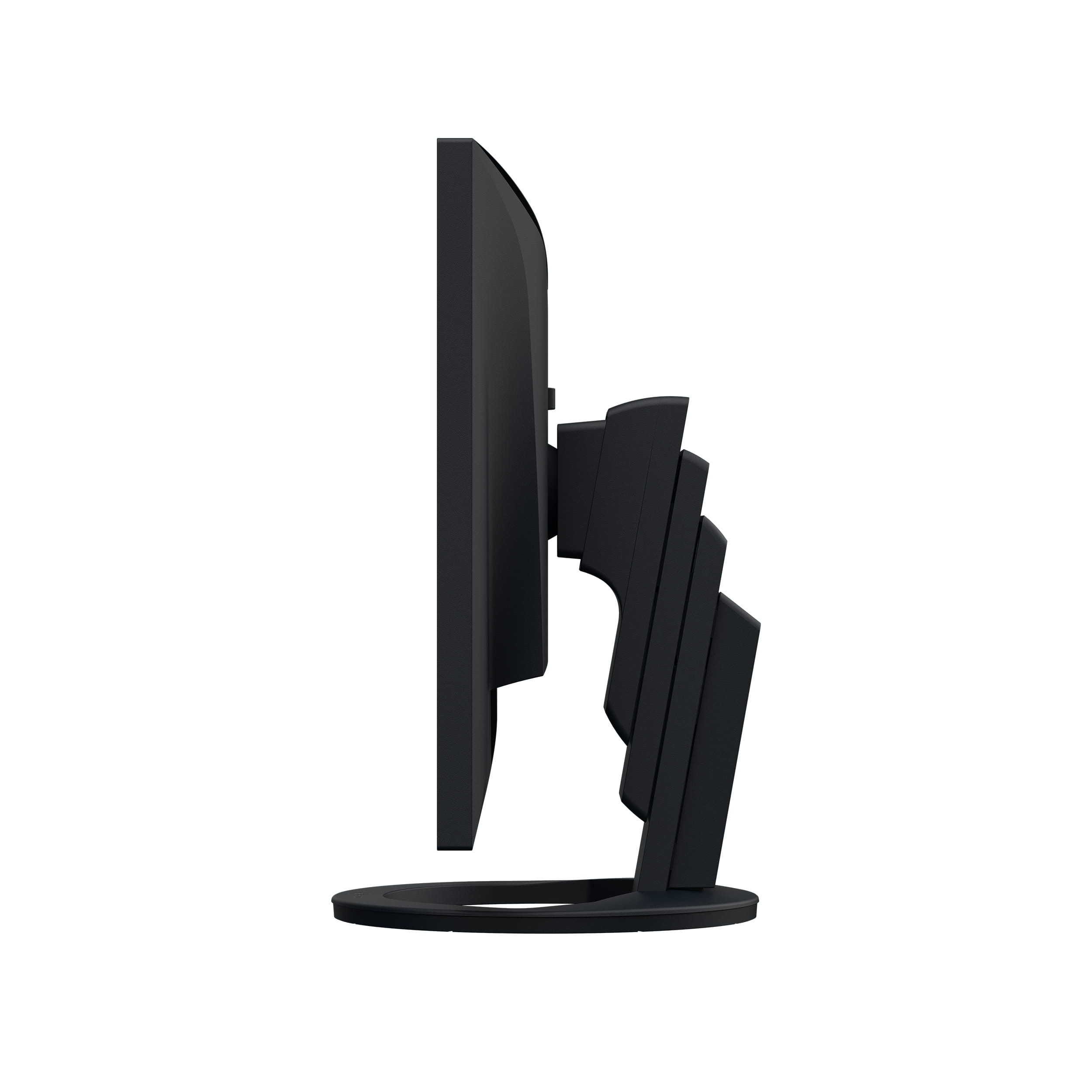 EIZO FlexScan EV2495-BK - Mit FlexStand - LED-Monitor - 61.1 cm (24.1")