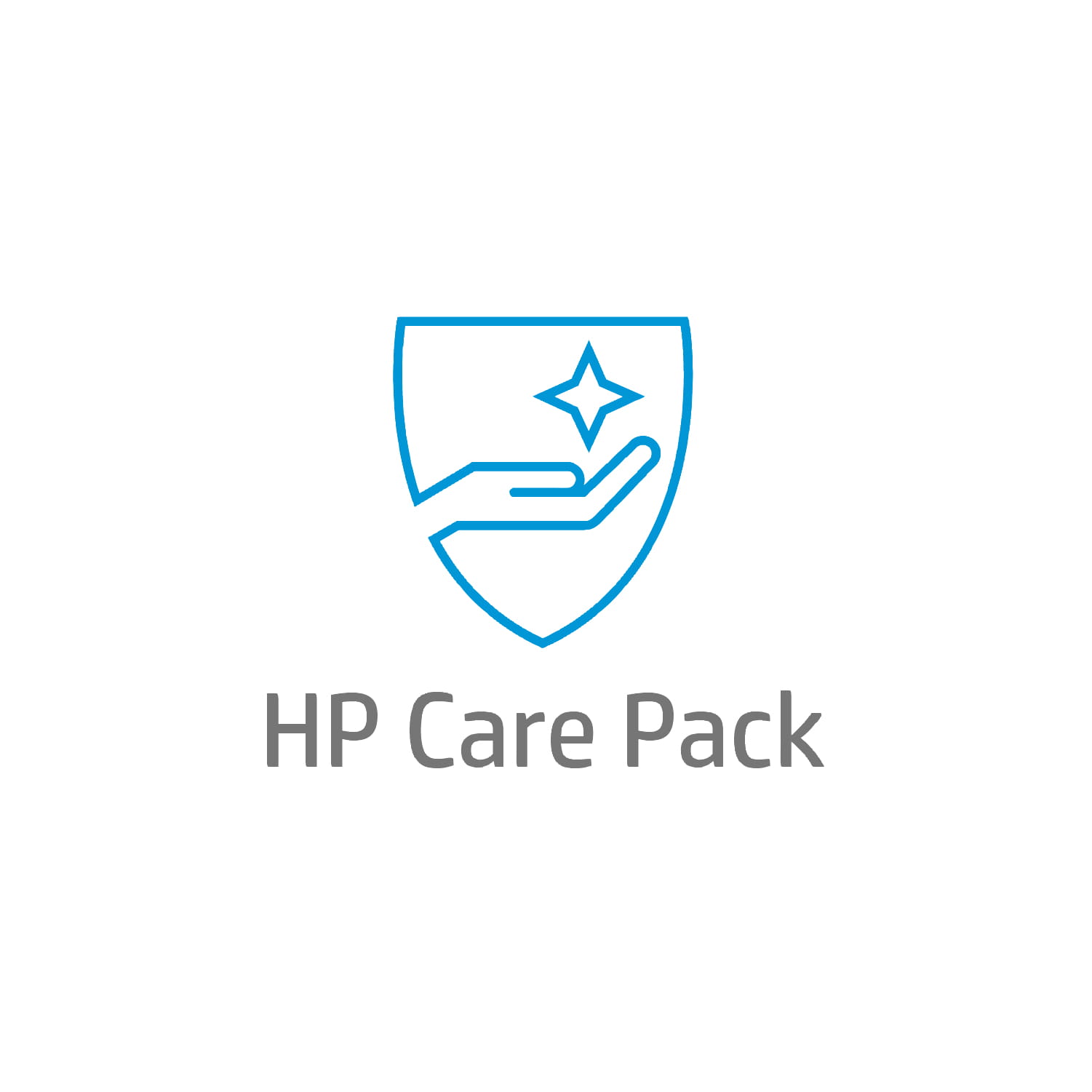 HP Electronic HP Care Pack Return to Depot - Serviceerweiterung