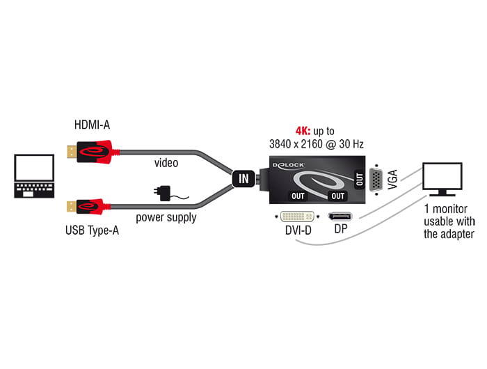 Delock Videokonverter - HDMI - DVI, DisplayPort