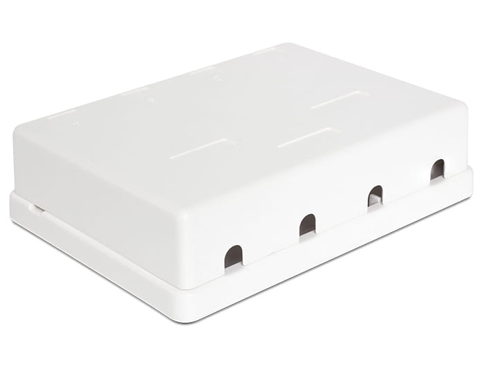 Delock Keystone Surface Mounted Box - Gehäuse