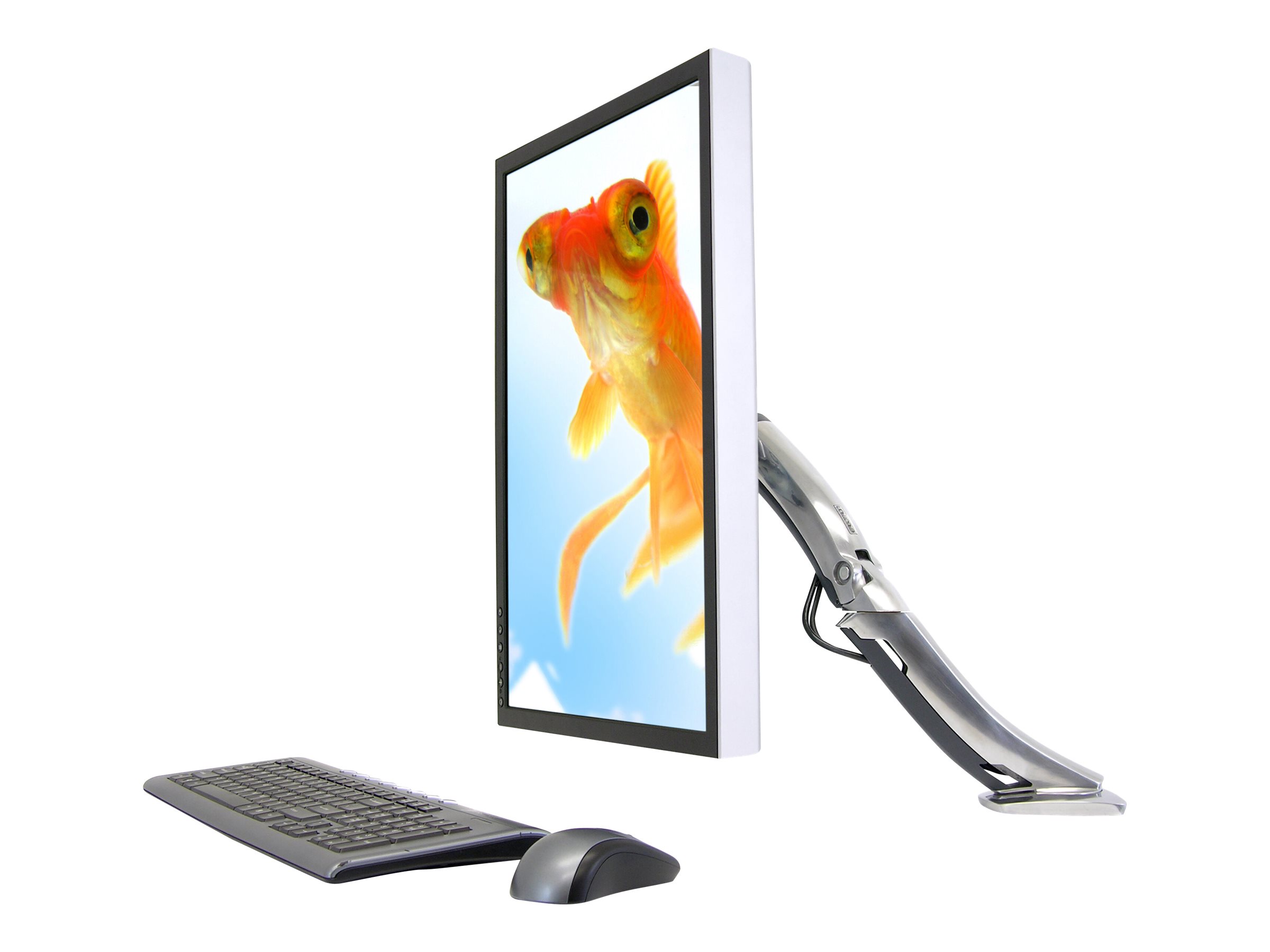 Ergotron MX - Befestigungskit (Gelenkarm, Spannbefestigung für Tisch, Tischplattenbohrung, Basis, Verlängerung) - Konstante Krafttechnologie - für LCD-Display - Polished Aluminum - Bildschirmgröße: bis zu 76,2 cm (bis zu 30 Zoll)