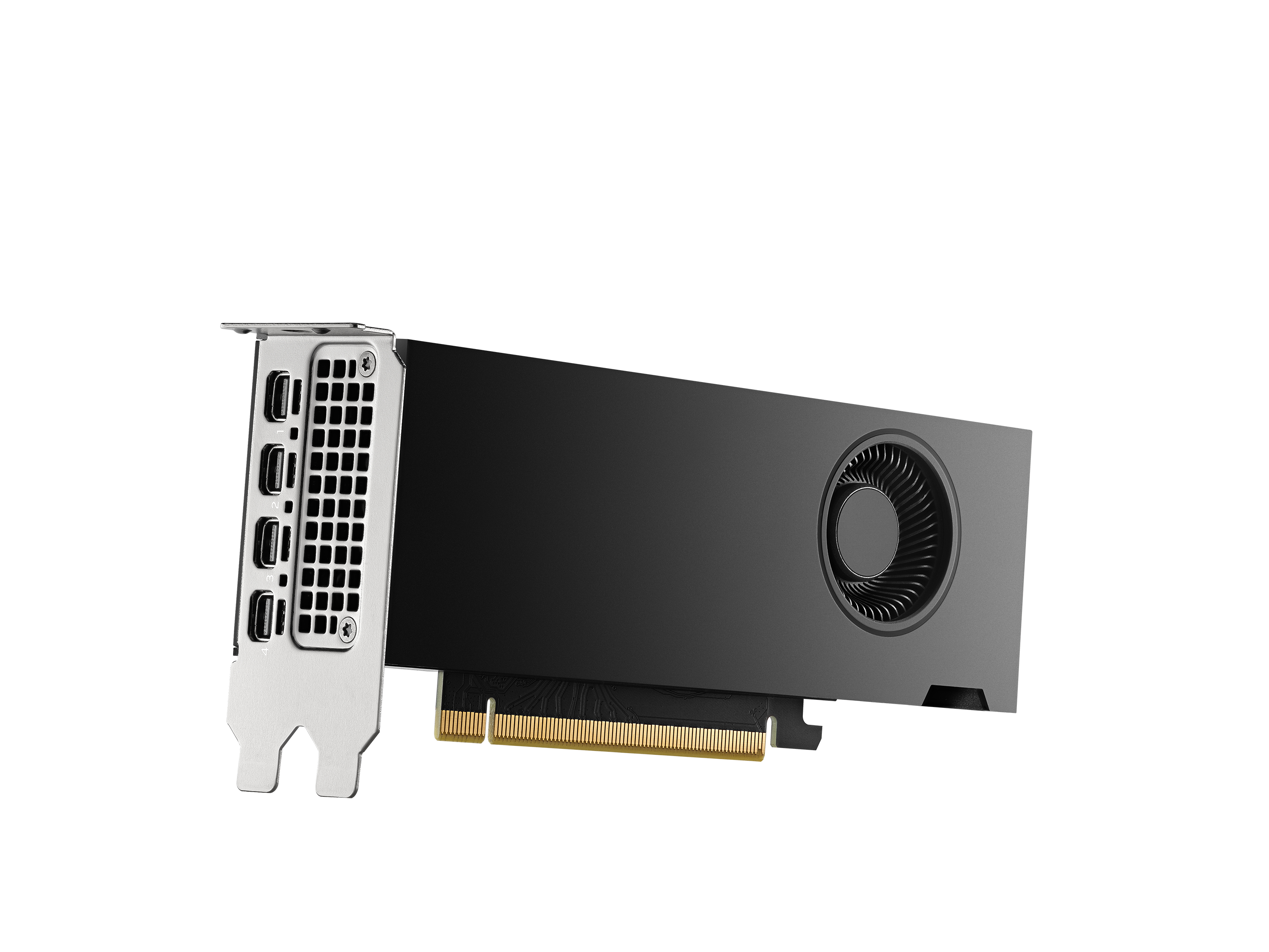 PNY NVIDIA RTX 2000 Ada Generation - Grafikkarte