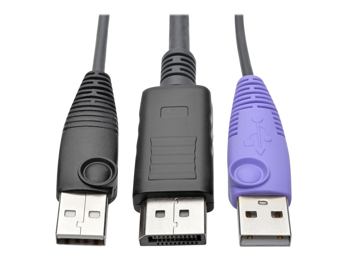 Tripp Eaton Tripp Lite Series DisplayPort USB Server