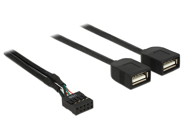 Delock Interner und externer USB-Adapter - 10-poliger USB-Header (W)