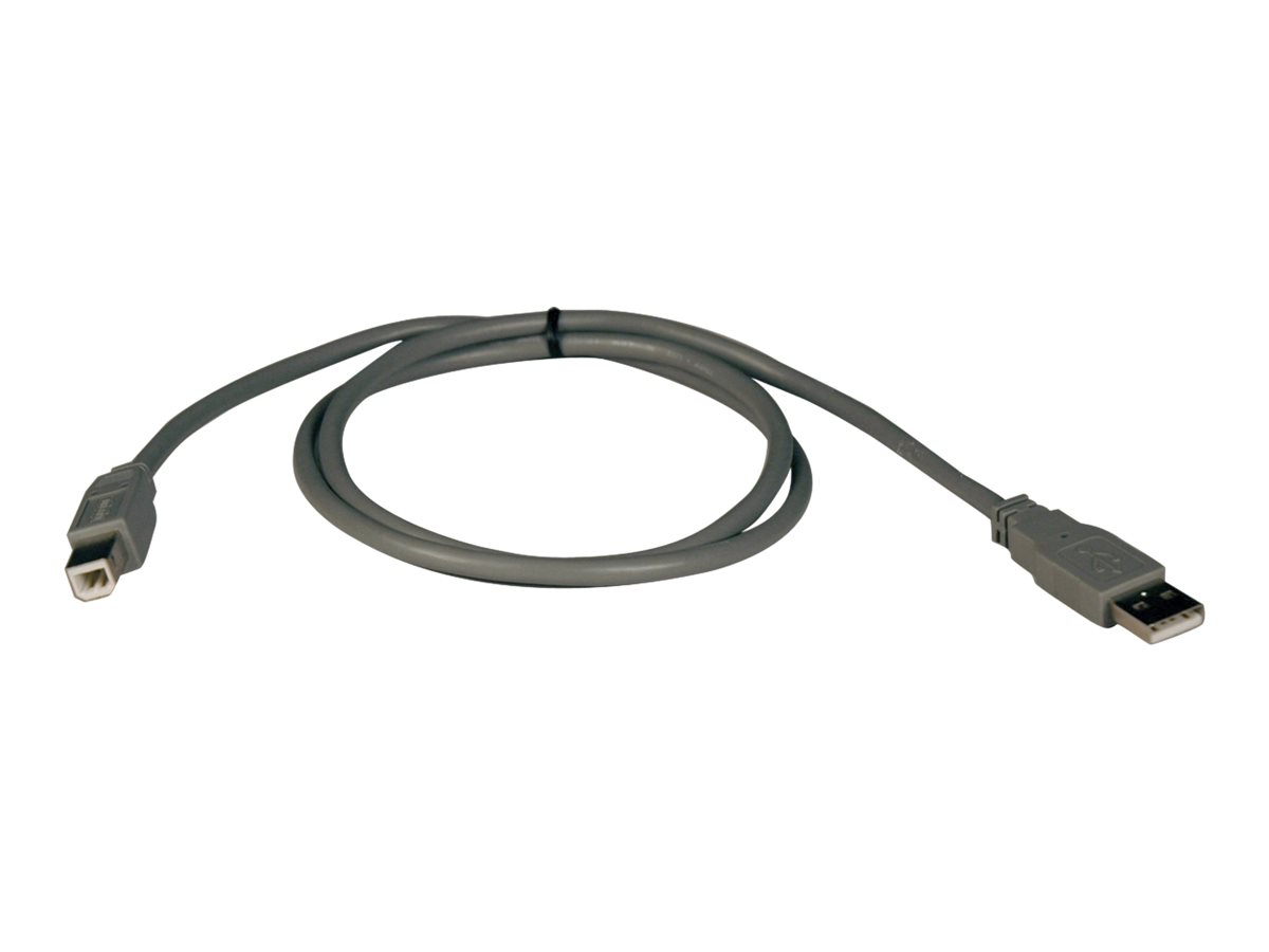 Tripp Eaton Tripp Lite Series USB 2.0 A to B Cable (M/M)