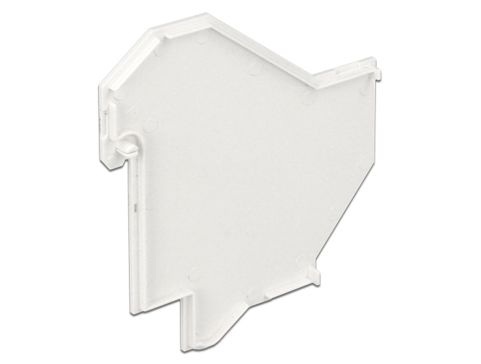Delock Keystone-Adapterabdeckung für DIN-Schiene