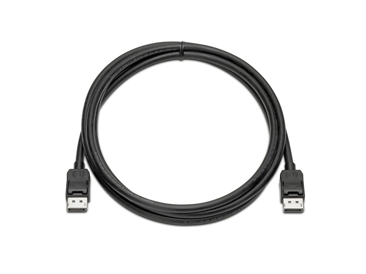 HP  DisplayPort-Kabel - DisplayPort (M) zu DisplayPort (M)