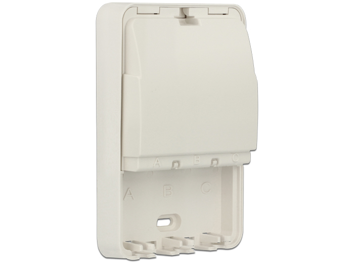 Delock Keystone Surface Mounted Box - Gehäuse