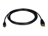 Tripp Eaton Tripp Lite Series USB 2.0 A to Mini-B Cable (A to 5Pin Mini-B, M/M)