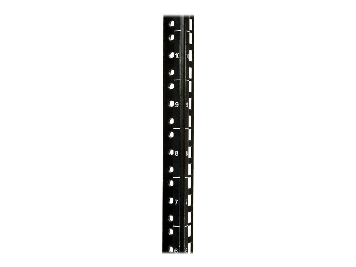 Tripp Eaton Tripp Lite Series 12U Wall Mount Rack Enclosure Server Cabinet Swinging Hinged Door Deep - Schrank Netzwerkschrank - geeignet für Wandmontage - Schwarz - 12U - 48.3 cm (19")