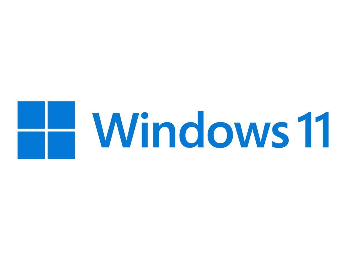 Microsoft Windows 11 Pro - Box-Pack - 1 Lizenz - Flash-Laufwerk - deutsch