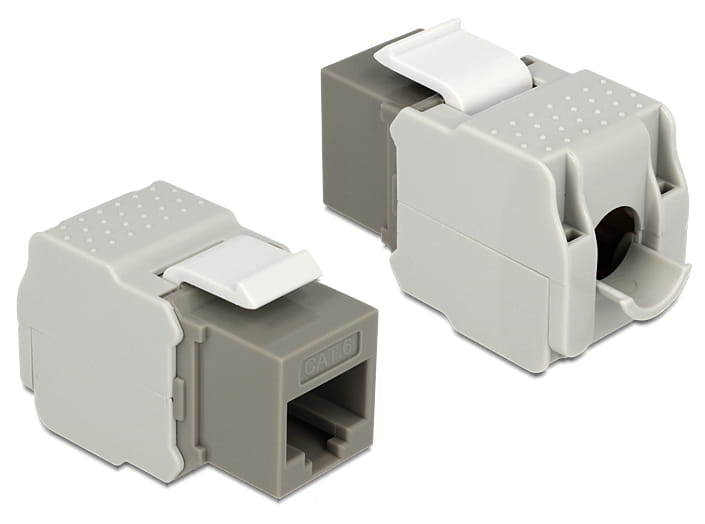 Delock Modulare Eingabe - CAT 6 - UTP - RJ-45