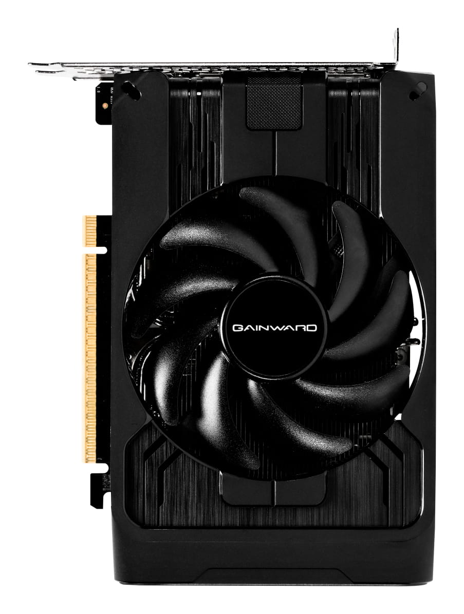 Gainward Pegasus - Grafikkarte - GeForce RTX