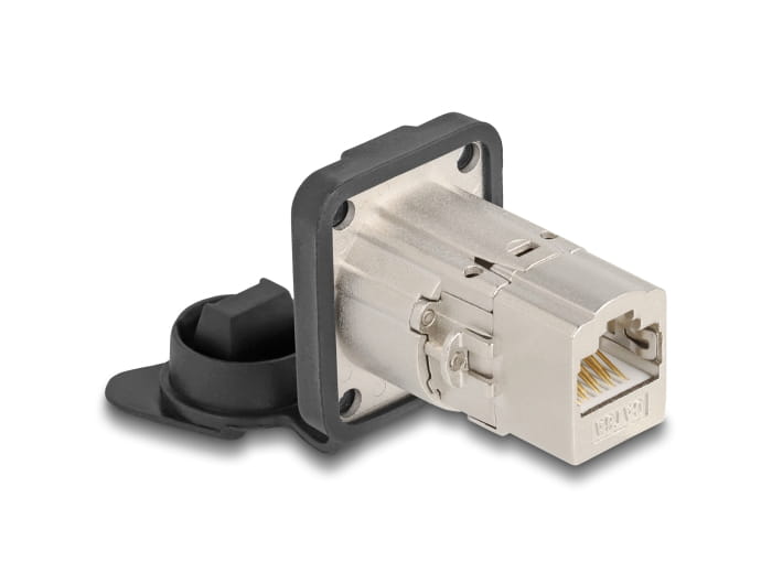 Delock Modularer Einschub (Kopplung) - D-Type