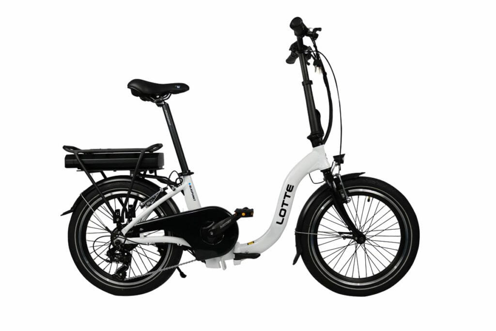 Blaupunkt LOTTE, Lithium-Ion (Li-Ion), 8,8 Ah, 70 km, 36 V, 5 h, 22 kg