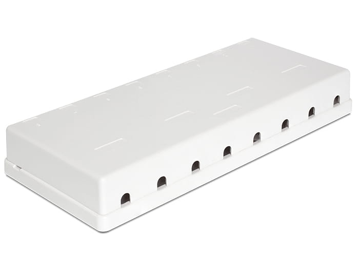 Delock Keystone Surface Mounted Box - Gehäuse