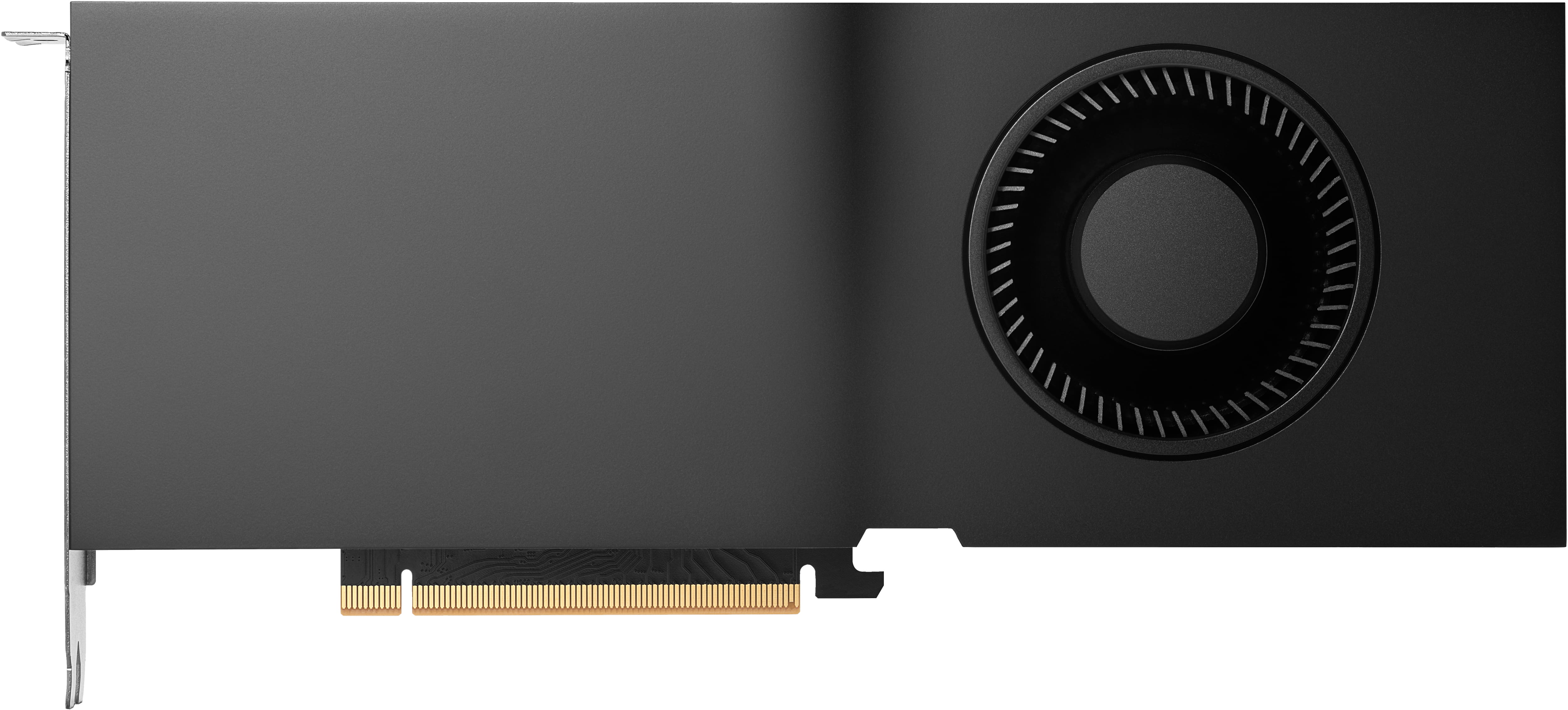 HP NVIDIA RTX - Grafikkarte - RTX 4500 Ada - 24