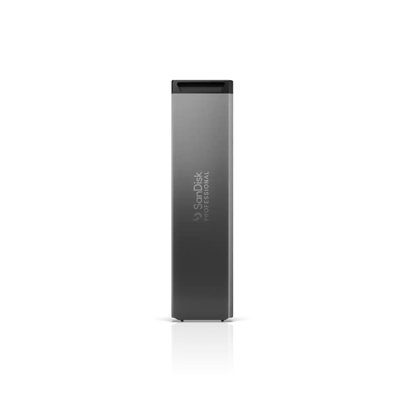 SanDisk Professional PRO-BLADE SSD Mag - SSD - 1 TB - extern (tragbar)