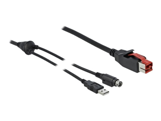 Delock Powered USB-Kabel - USB PlusPower (24 V)