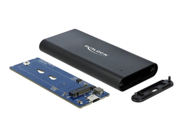 Delock Speichergehäuse - M.2 - M.2 NVMe Card - USB 3.1 (Gen 2)