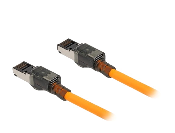 Delock Patch-Kabel - RJ-45 (M) zu RJ-45 (M)