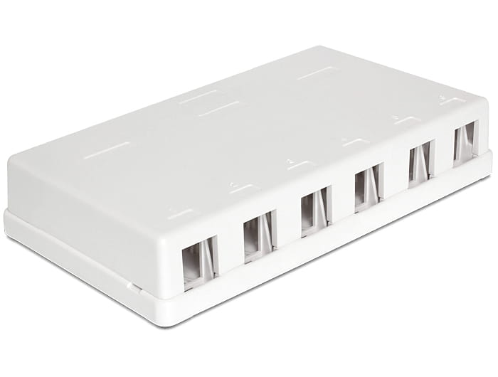 Delock Keystone Surface Mounted Box - Gehäuse