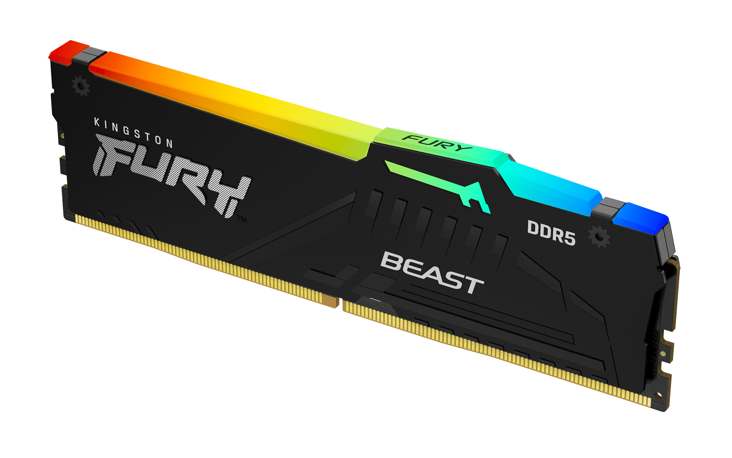 Kingston FURY Beast RGB - DDR5 - Modul - 8 GB