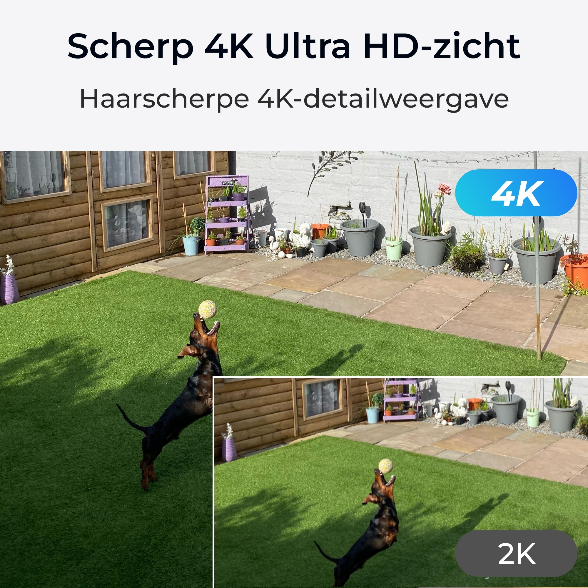 Reolink P430 - Netzwerk-Überwachungskamera - Kugel - Innenbereich, Außenbereich - wetterfest - Farbe (Tag&Nacht)