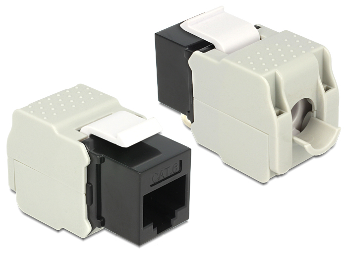 Delock Modulare Eingabe - CAT 6 - UTP - RJ-45