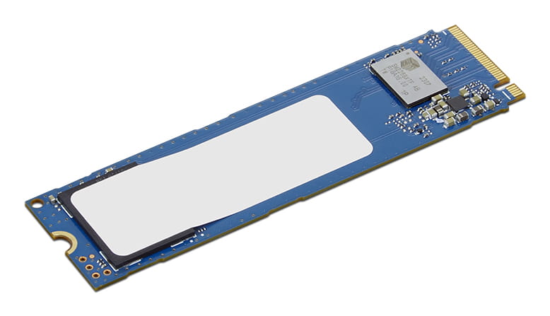 Lenovo II - SSD - verschlüsselt - 256 GB - intern - M.2 2280 - PCIe 4.0 (NVMe)