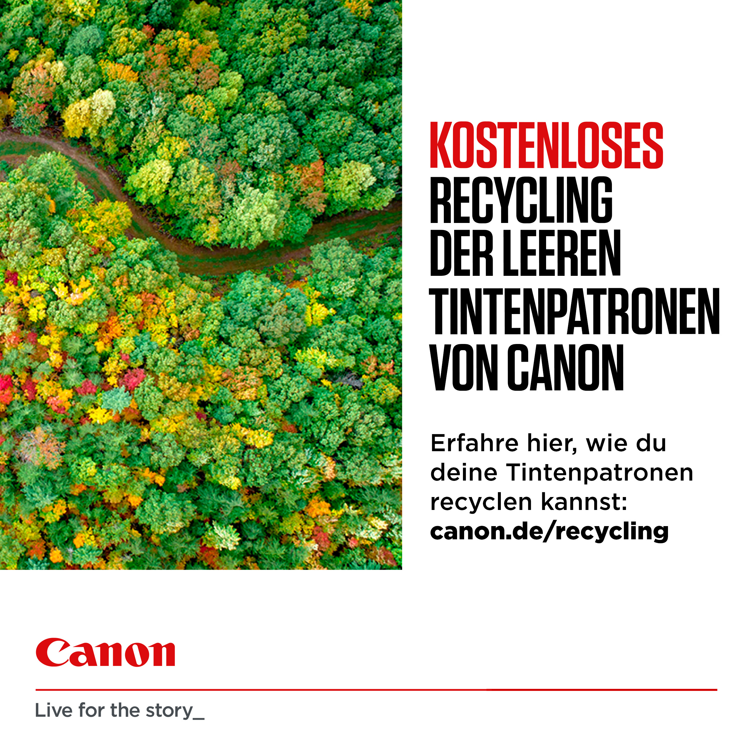 Canon PG-585 - 7.3 ml - Schwarz - original