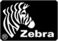 Zebra Direct 2100 - Matt - permanenter Gummiklebstoff - beschichtet - weiß - 101.6 x 152.4 mm 950 Stck. (1 Rolle(n)