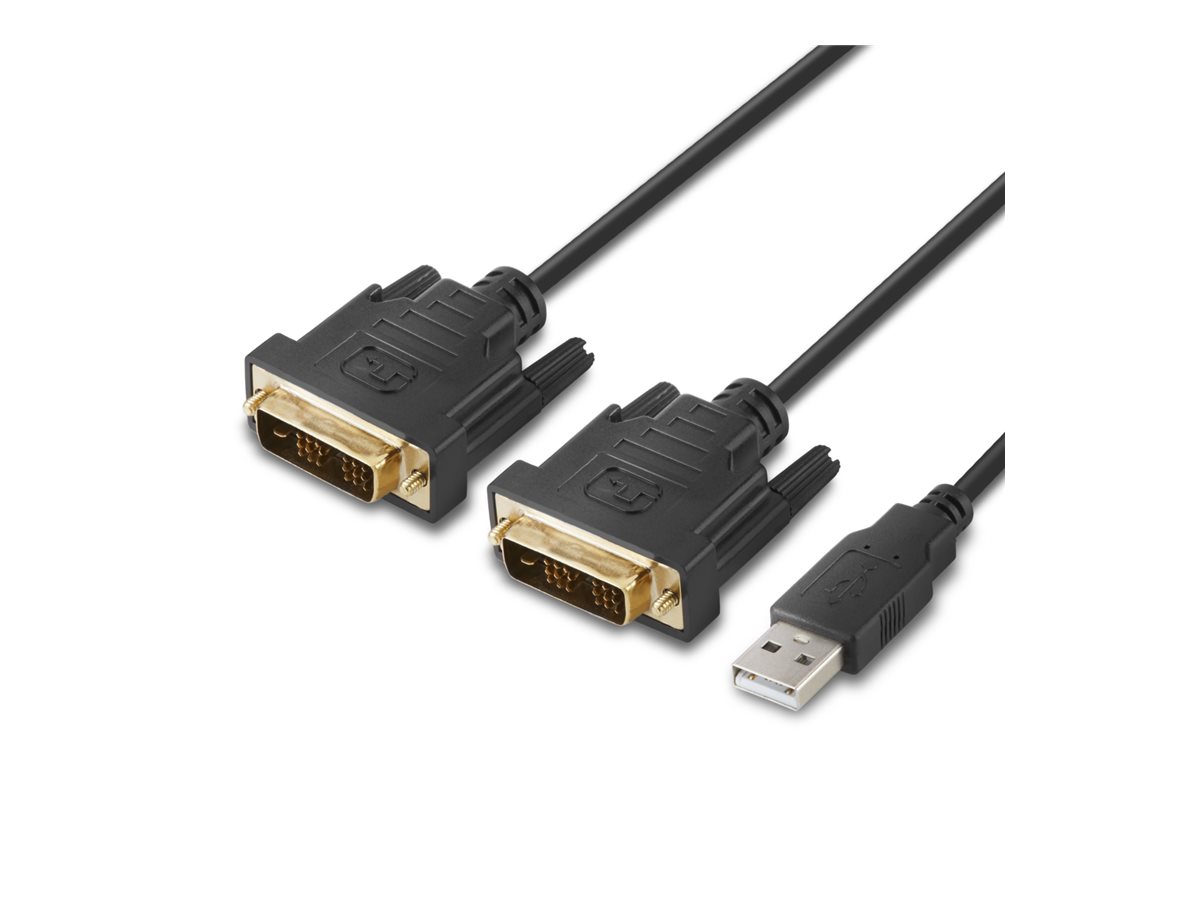 Belkin Secure Modular DVI Dual Head Host Cable - Video- / USB-Kabel - TAA-konform - USB, DVI (M)