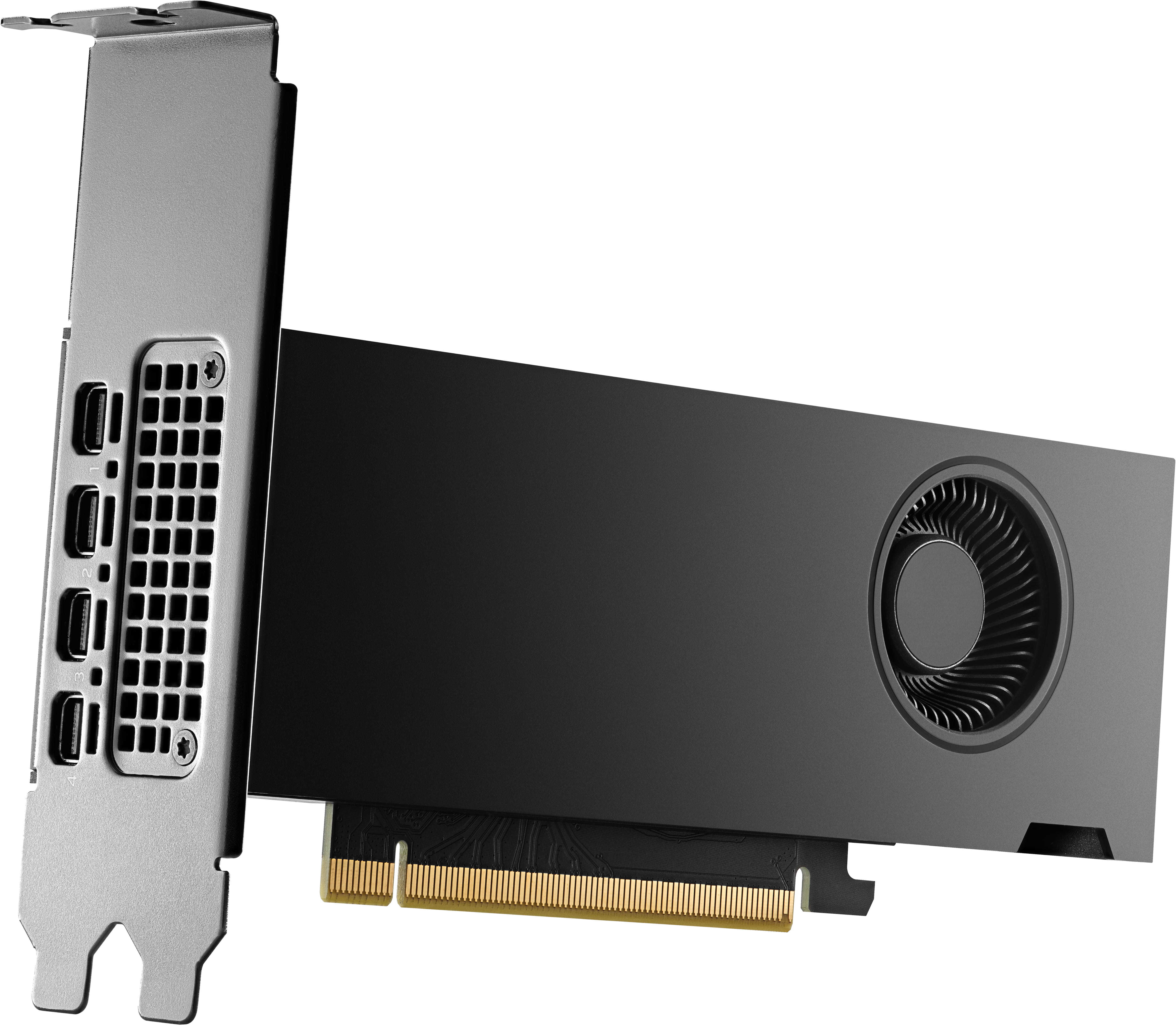 HP NVIDIA RTX - Grafikkarte - NVIDIA RTX 2000 Ada