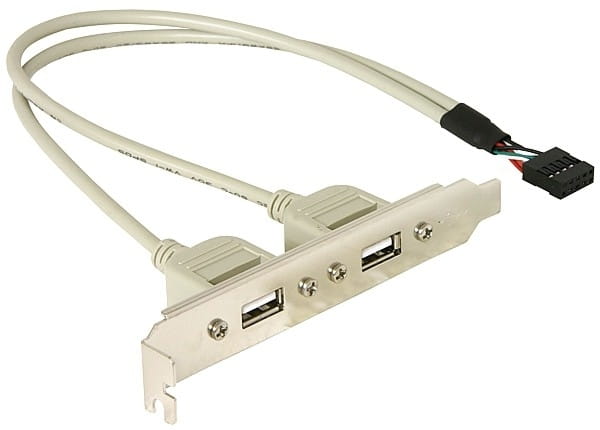Delock USB-Konsole - 10-poliger USB-Header (M)