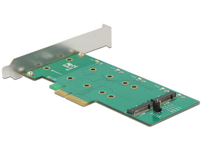 Delock PCI Express Card > 2 x internal M.2 Key
