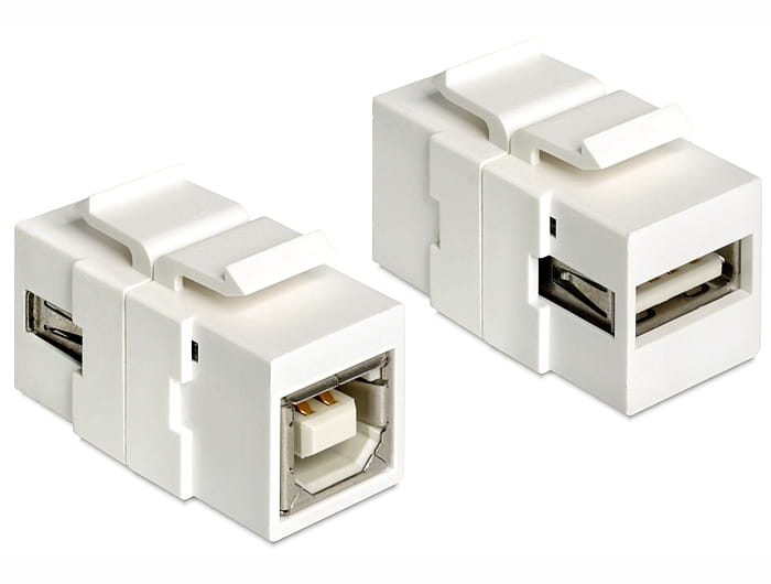 Delock Modularer Einschub (Kopplung) - USB-Typ