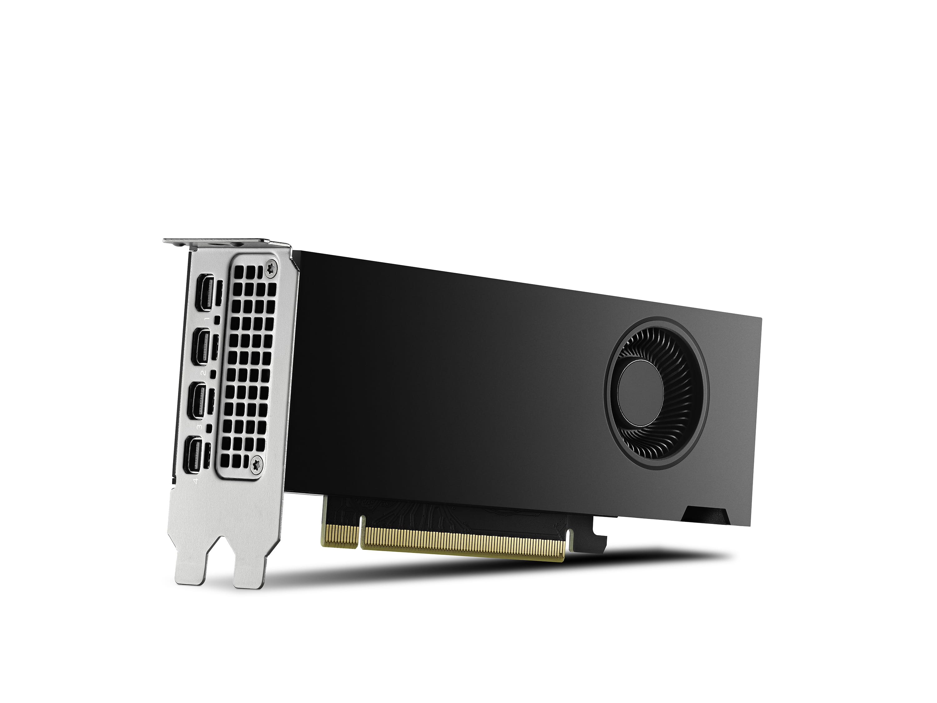 PNY NVIDIA RTX 2000 Ada Generation - Grafikkarte