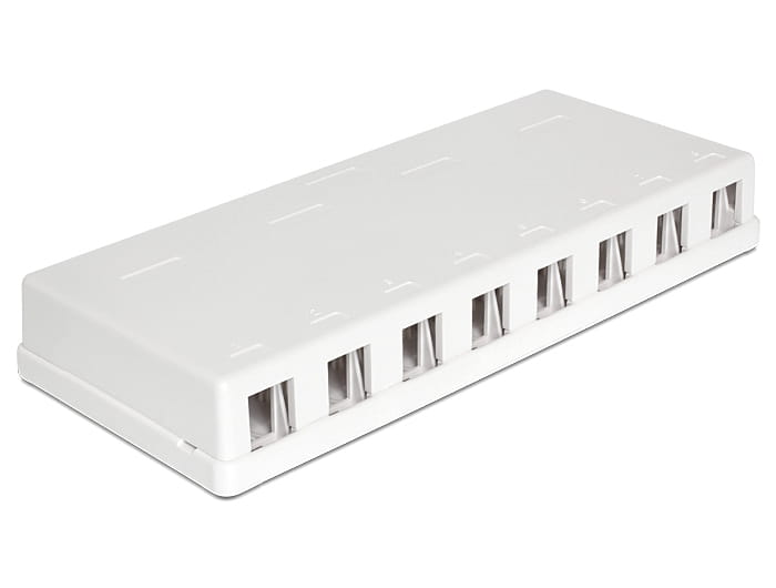 Delock Keystone Surface Mounted Box - Gehäuse