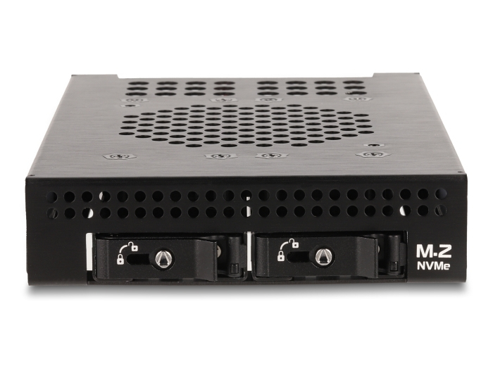 Delock Mobiles Speicher-Rack - M.2