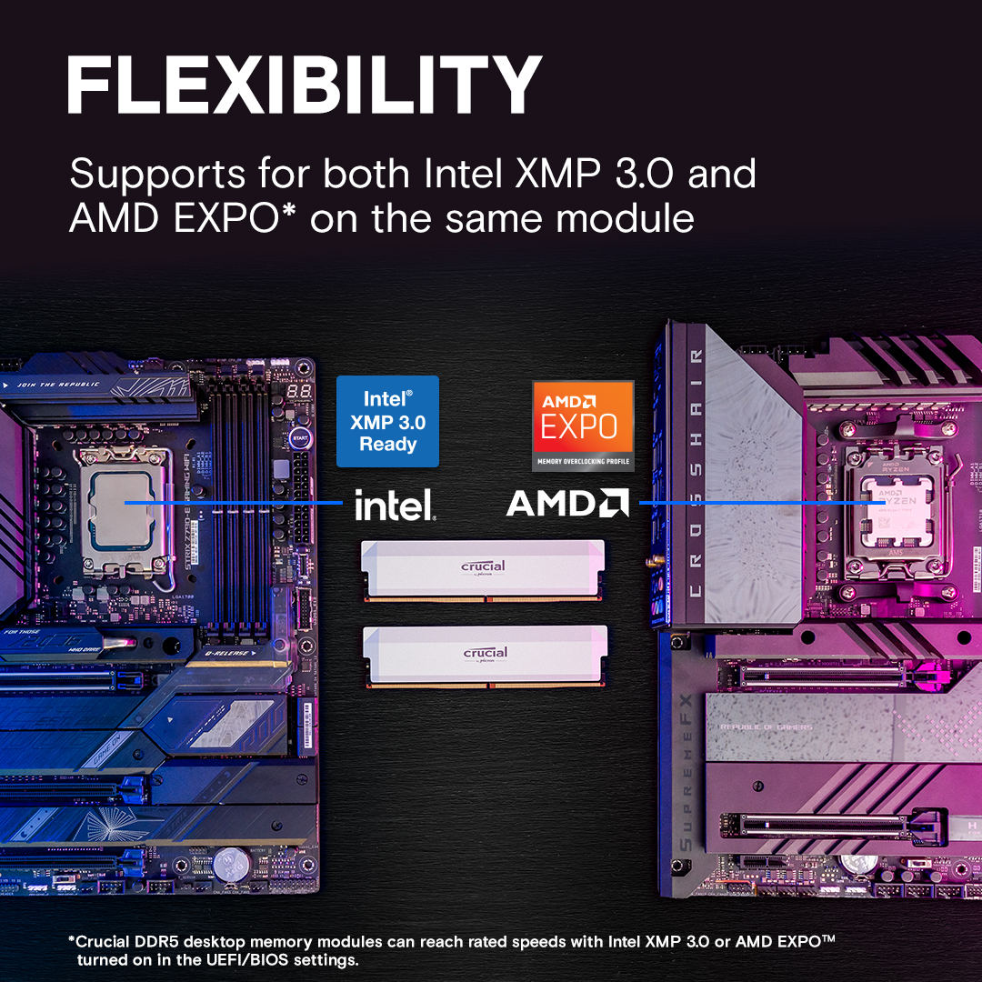 Crucial Pro - Overclocking Edition - DDR5 - Modul