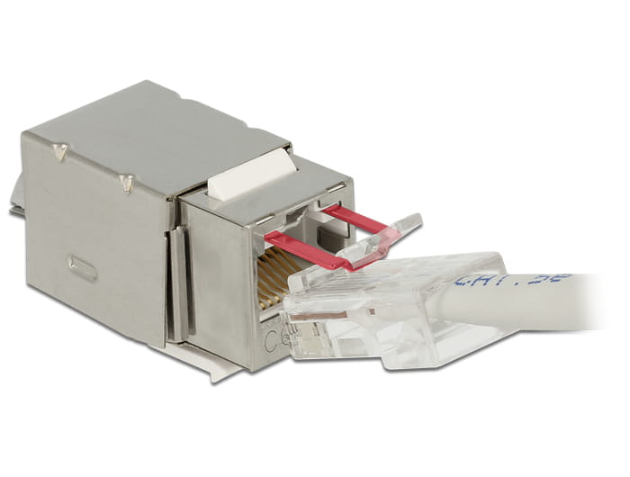 Delock Modulare Eingabe - CAT 6 - STP - RJ-45
