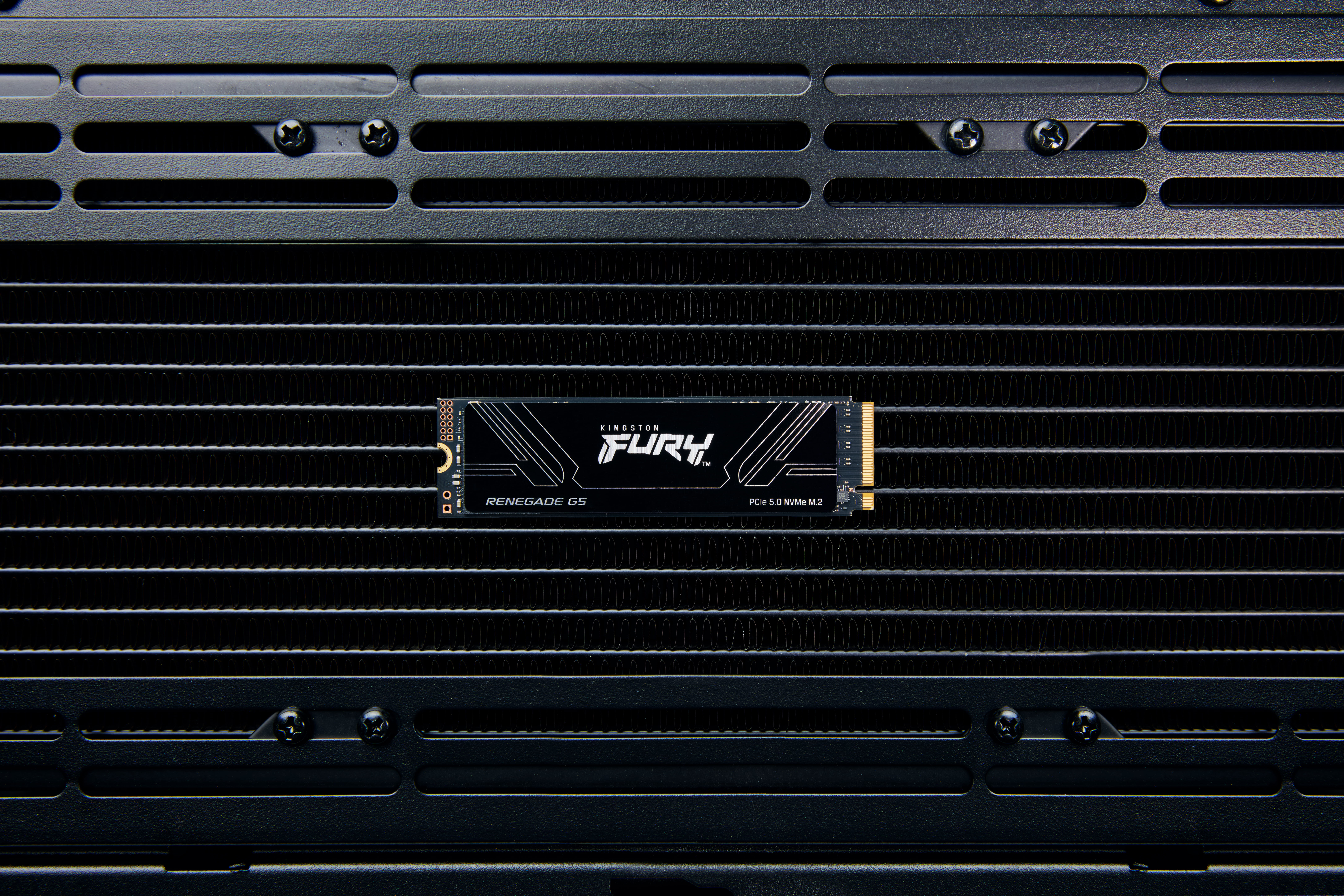 Kingston FURY - SSD - 1 TB - intern - M.2 2280 - PCI Express 5.0 x4 (NVMe)