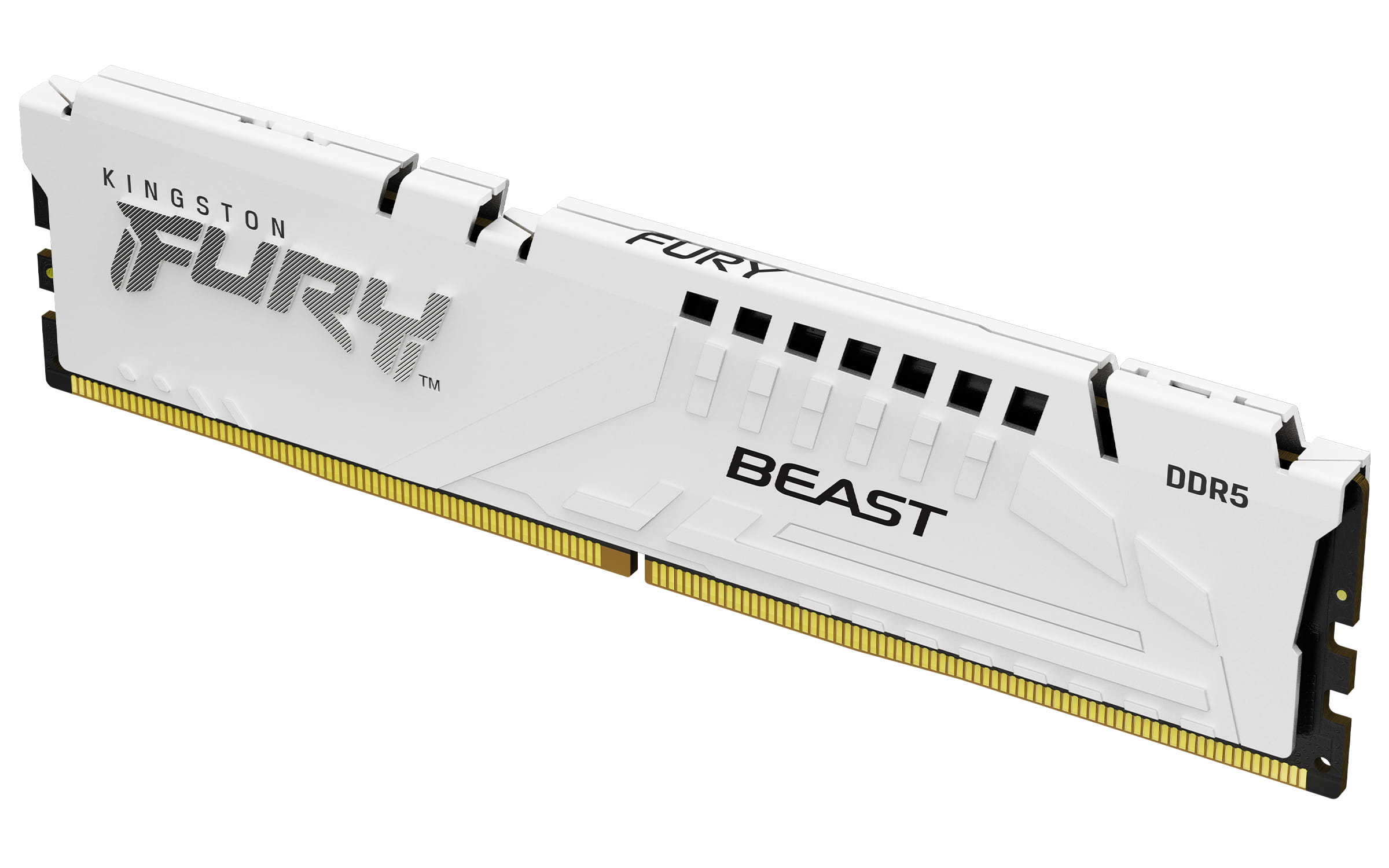 Kingston FURY Beast - DDR5 - Modul - 16 GB