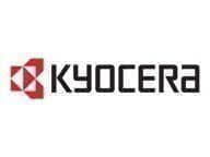 Kyocera IB-38 - Druckserver - USB - für TASKalfa 2554Ci