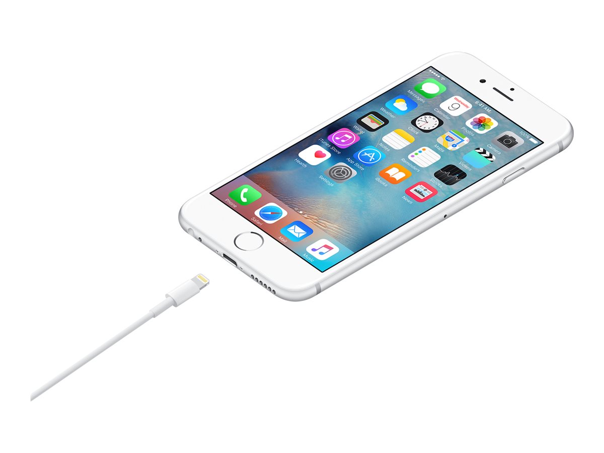 Apple Lightning-Kabel - Lightning männlich