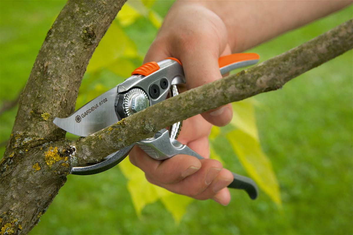 Gardena Premium BP 50 - Gartenschere - Aluminium