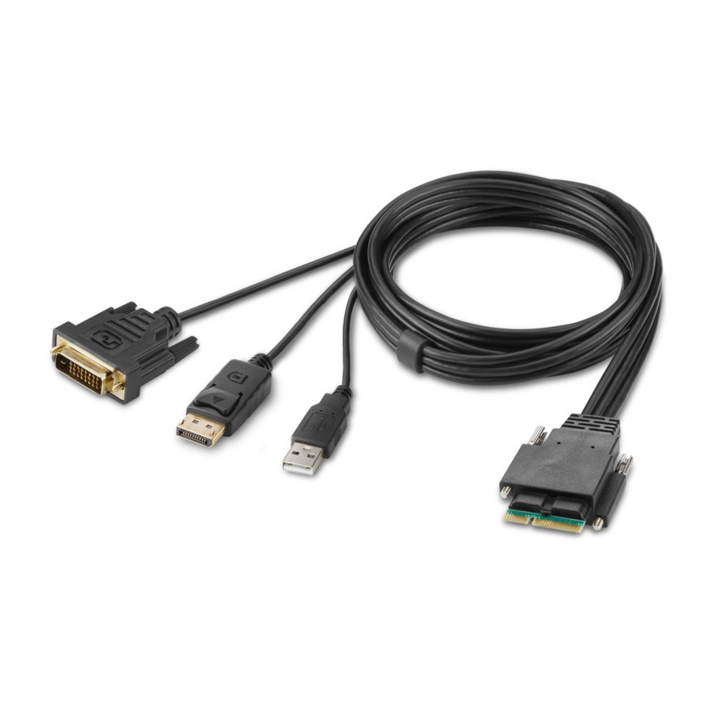 Belkin Secure Modular DVI and DP Dual Head Host Cable - Video- / USB-Kabel - TAA-konform - USB, DVI, DisplayPort (M)